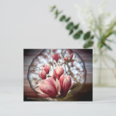 Carte Postale Magnolia Wood (Debout devant)
