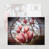 Carte Postale Magnolia Wood (Devant / Derrière)