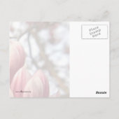 Carte Postale Magnolia Wood (Dos)