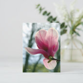 Carte Postale Magnolia Woods (Debout devant)
