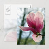 Carte Postale Magnolia Woods (Devant / Derrière)