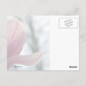 Carte Postale Magnolia Woods (Dos)
