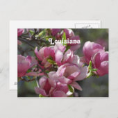 Carte Postale Magnolias (Devant / Derrière)