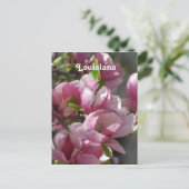 Carte Postale Magnolias (Debout devant)