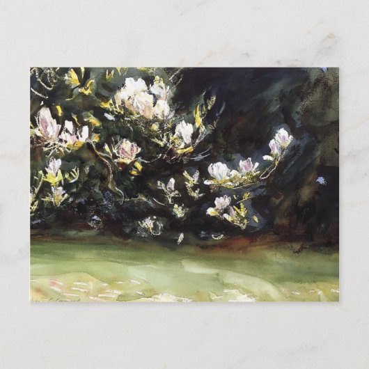 Carte Postale Magnolias par John Singer Sargent (Devant)