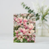 Carte Postale Magnolie Magnolienblüte rosa (Debout devant)
