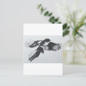 Carte Postale Magpie (Debout devant)