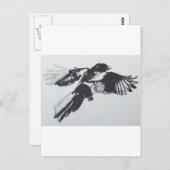 Carte Postale Magpie (Devant / Derrière)
