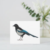 Carte Postale Magpie (Debout devant)