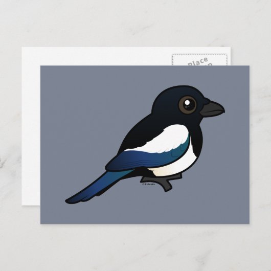 Carte Postale Magpie à bec noir (Devant / Derrière)