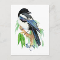 Magpie, Oiseau, Jardin, Nature, Faune