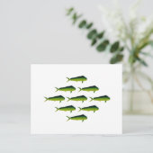 Carte Postale Mahi Mahi Poisson - Dauphin - Dorado (Debout devant)