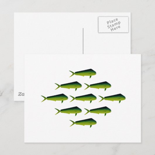 Carte Postale Mahi Mahi Poisson - Dauphin - Dorado (Devant / Derrière)