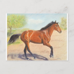 Carte Postale Mahogany Bay Horse Pastel
