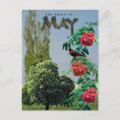 Carte Postale Mai Mois Arbres châtaigniers Rowan Ash, peuplier (Devant)