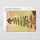 Carte Postale Maibaum Tree, Fredericksburg, TX (Devant / Derrière)