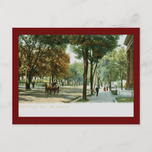 Carte Postale Main Ave., Knoxville TN 1909 Vintage