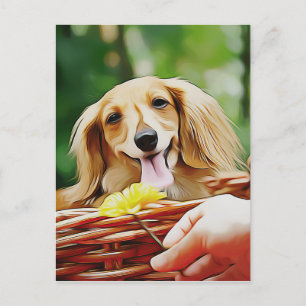 Carte Postale Main Doxie Avec Une Fleur À Un Dachshund