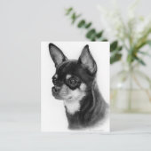 Carte Postale Main Drake Chihuahua Head Study (Debout devant)