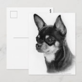 Carte Postale Main Drake Chihuahua Head Study (Devant / Derrière)