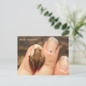 Carte Postale Main Froggy (Debout devant)