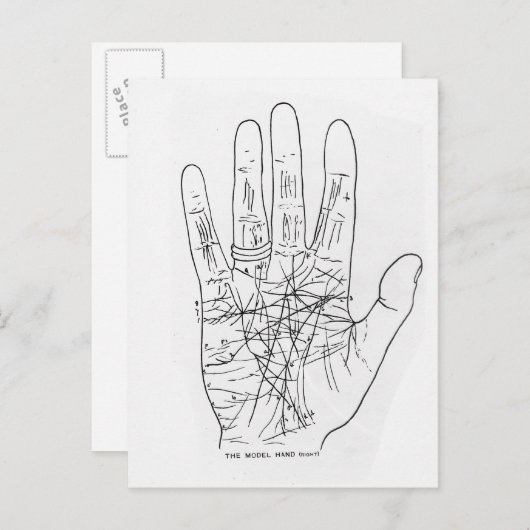 Carte Postale Main modèle (Devant / Derrière)