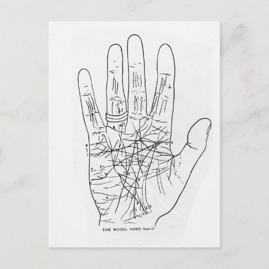 Carte Postale Main modèle (Devant)