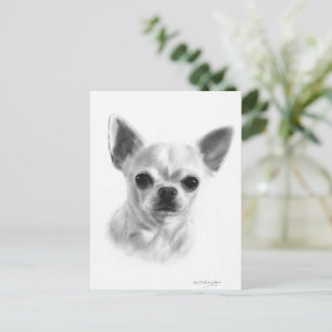Carte Postale Main tirée courte Haired Chihuahua