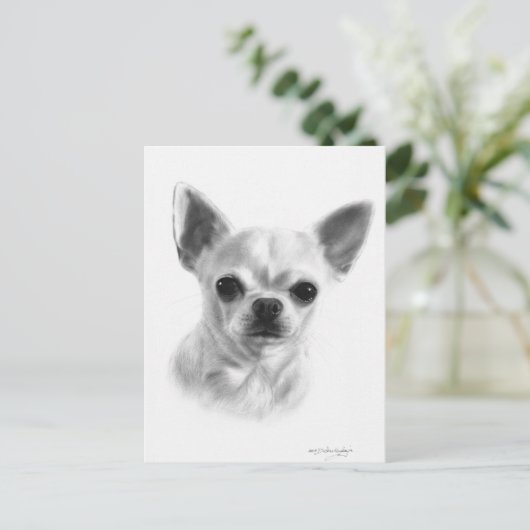 Carte Postale Main tirée courte Haired Chihuahua (Debout devant)