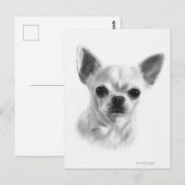 Carte Postale Main tirée courte Haired Chihuahua (Devant / Derrière)