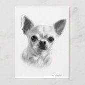 Carte Postale Main tirée courte Haired Chihuahua (Devant)