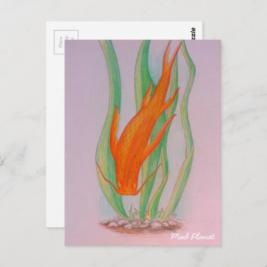 Carte Postale Main tirée Koi Carp (Devant / Derrière)