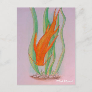 Carte Postale Main tirée Koi Carp