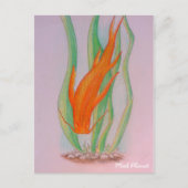 Carte Postale Main tirée Koi Carp (Devant)