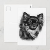 Carte Postale Main Tirée Long Haired Chihuahua Charcoal Artwork (Devant / Derrière)