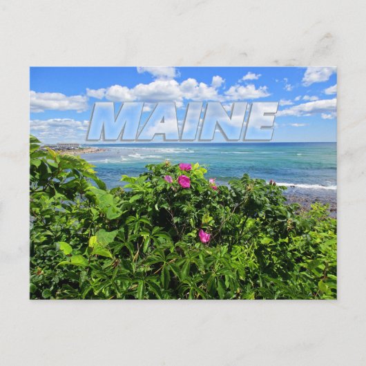 Carte Postale Maine (Devant)