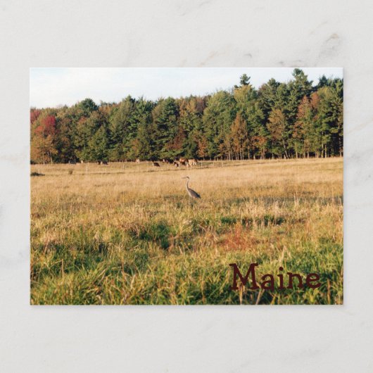 Carte Postale Maine Campagne (Devant)