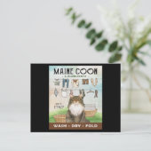 Carte Postale Maine Coon Cat Launch Company (Debout devant)