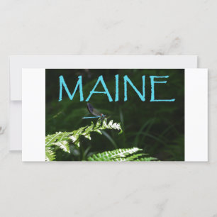 Carte postale Maine d'une libellule