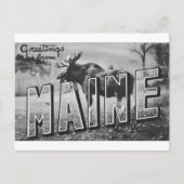 Carte Postale Maine Élan (Devant)