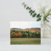 Carte Postale Maine Foliage (Debout devant)