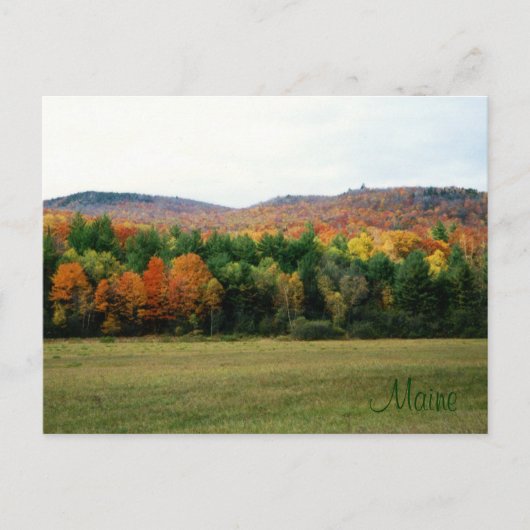 Carte Postale Maine Foliage (Devant)