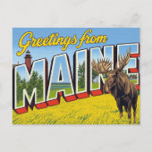 Carte Postale Maine Moose and Lighthouse (Devant)