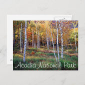 Carte Postale Maine, Parc national de l'Acadie, automne (Devant / Derrière)