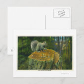 Carte Postale Maine Un petit écureuil de Noisette du Maine (Devant / Derrière)