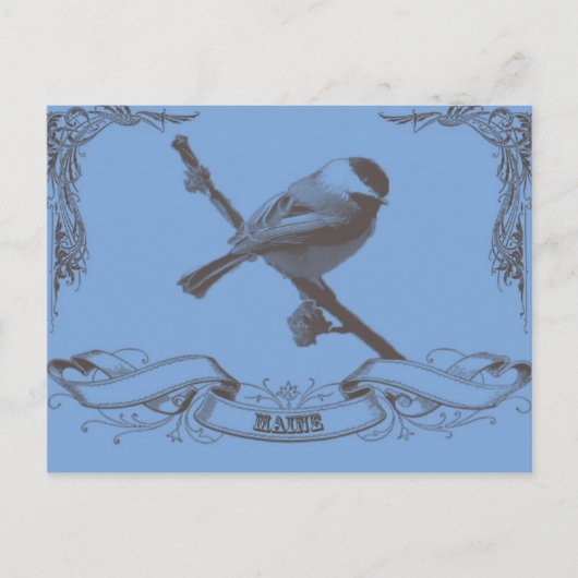 Carte Postale mainechickade (Devant)