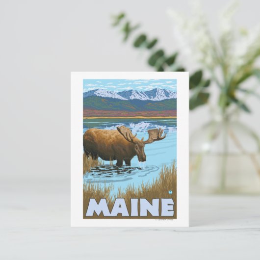 Carte Postale MaineMoose Boire dans le lac (Debout devant)