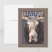 Carte Postale MaineMoose en gros plan (Devant / Derrière)