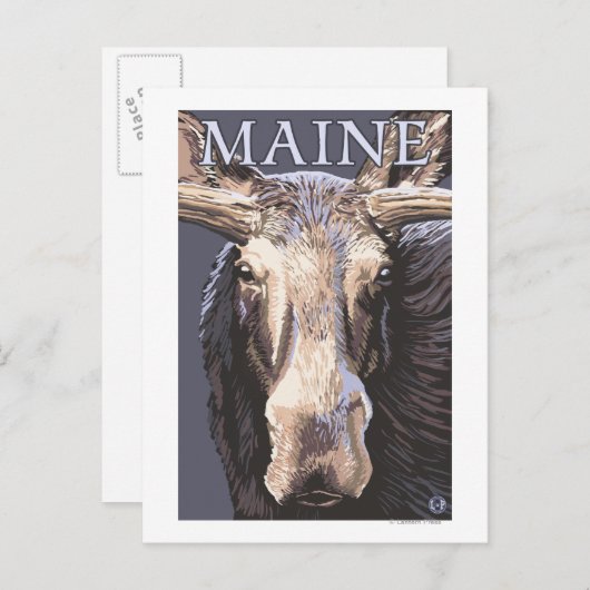 Carte Postale MaineMoose en gros plan (Devant / Derrière)