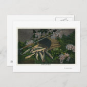 Carte Postale MaineVue d'une jolie prise de truite du lac Maine (Devant / Derrière)